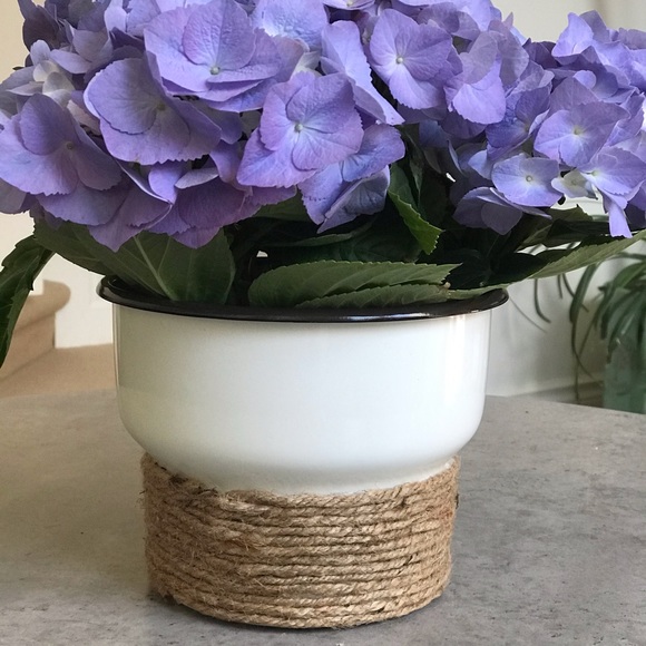 Flower Pot - Picture 2 of 9